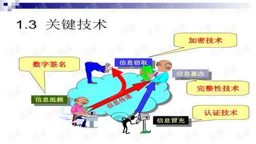 網絡攻防技術與計算機軟件技術服務 數字時代的安全屏障